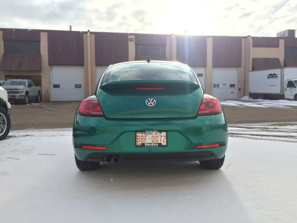 VW Beetle Green Car Wrap
