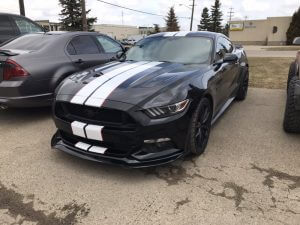 White Racing Stripes with Red Pinstriping